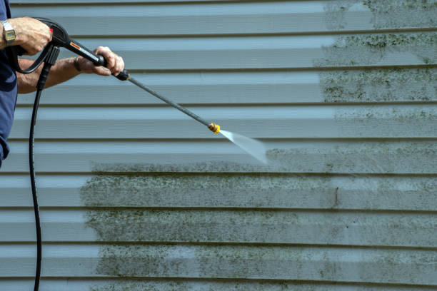 Deck Cleaning Services in St Croix Falls, WI